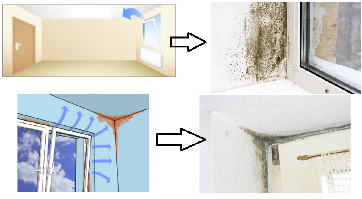 Tipps gegen Schimmel in der Wohnung - LEBENSART