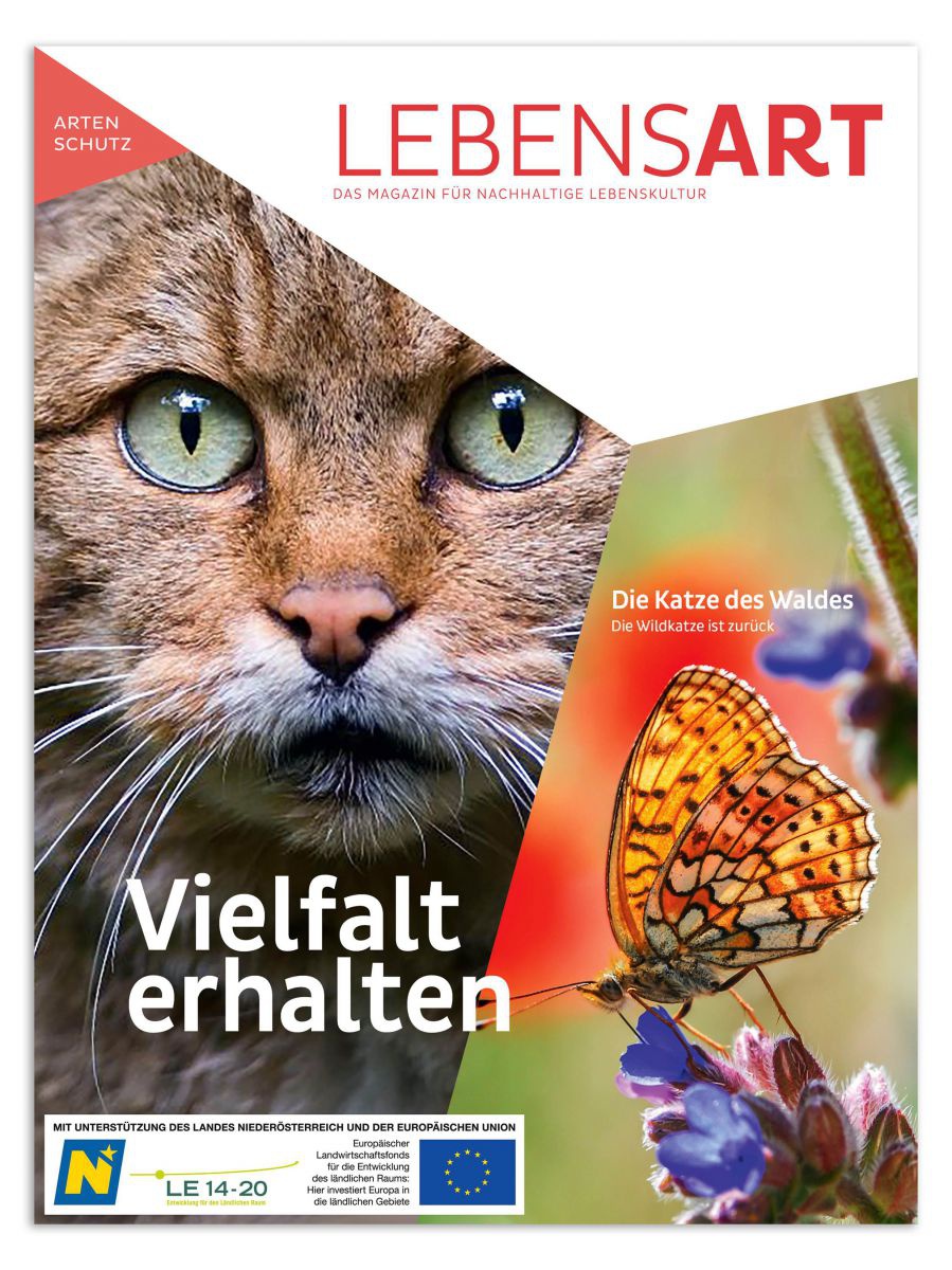 Auf dem Cover sind zwei Bilder zu sehen: Das Gesicht einer Wildkatze auf der einen Seite und ein Saumfleck-Perlmuttfalter auf der anderen. Darüber steht 