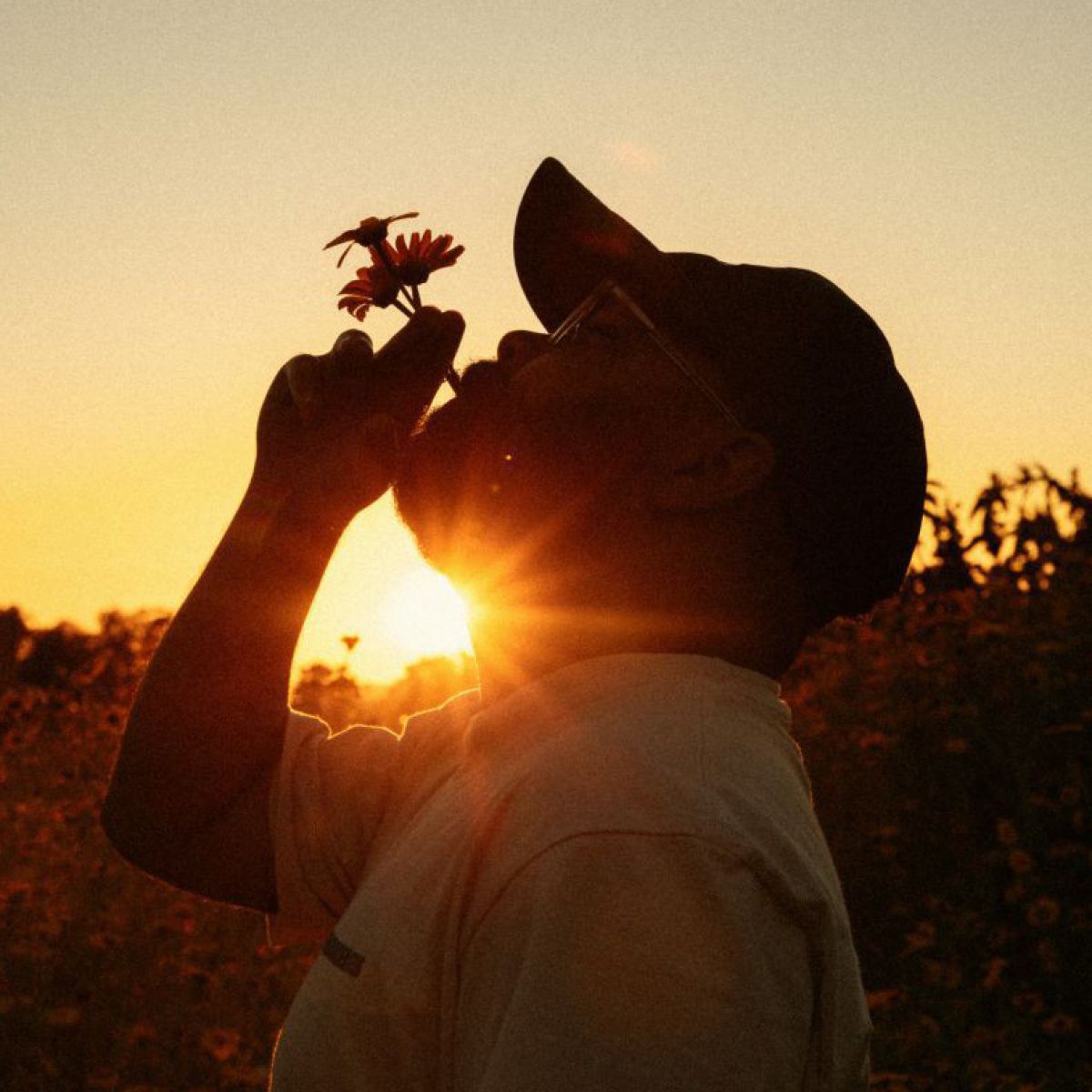 Vor dem Hintergrund eines Sonnenblumenfeldes bei Sonnenuntergang steht ein Mann mit Bart, Brille und Baseballkappe. Er hat den Kopf in den Nacken gelegt und hält sich zwischen Zeige- und MIttelfinger der rechten Hand ein paar Blümchen an den Mund, aus der