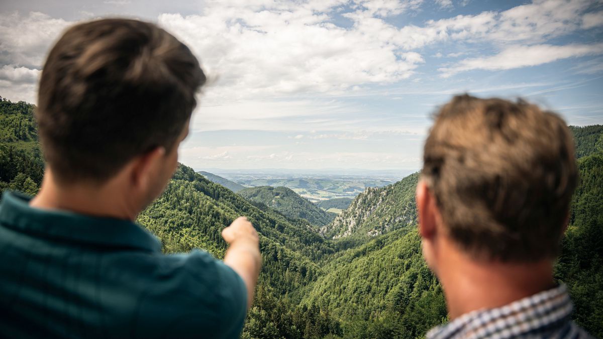 Zwei Männer blicken auf einen Wald in der Eintiefung zwischen zwei Bergen.