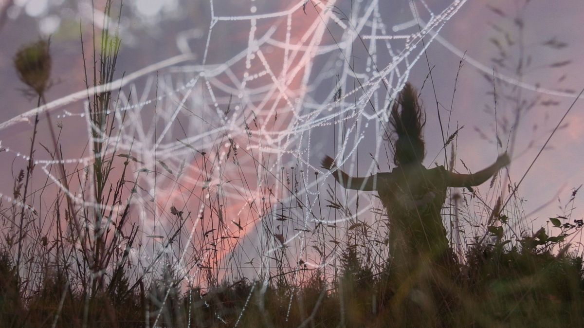 Eine Nahaufnahme eines Spinnennetzes in der Wiese vor dem Abendhimmel in dem Wassertropfen hängen.