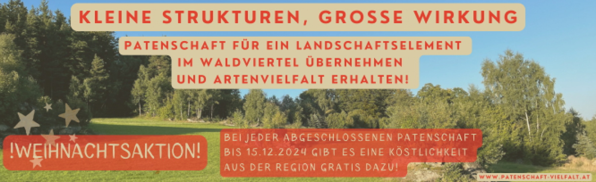 Kleine Strukturen, große Wirkung. Patenschaft für ein Landschaftselement im Waldviertel übernehmen und Artenvielfalt erhalten! Weihnachtsaktion: Bei jeder abgeschlossenen Patenschaft bis 15.12.2024 gibt es eine Köstlichkeit aus der Region gratis dazu!